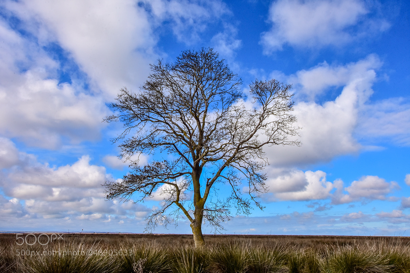 Nikon D7200 sample photo. 11.03.2018 - 1 photography