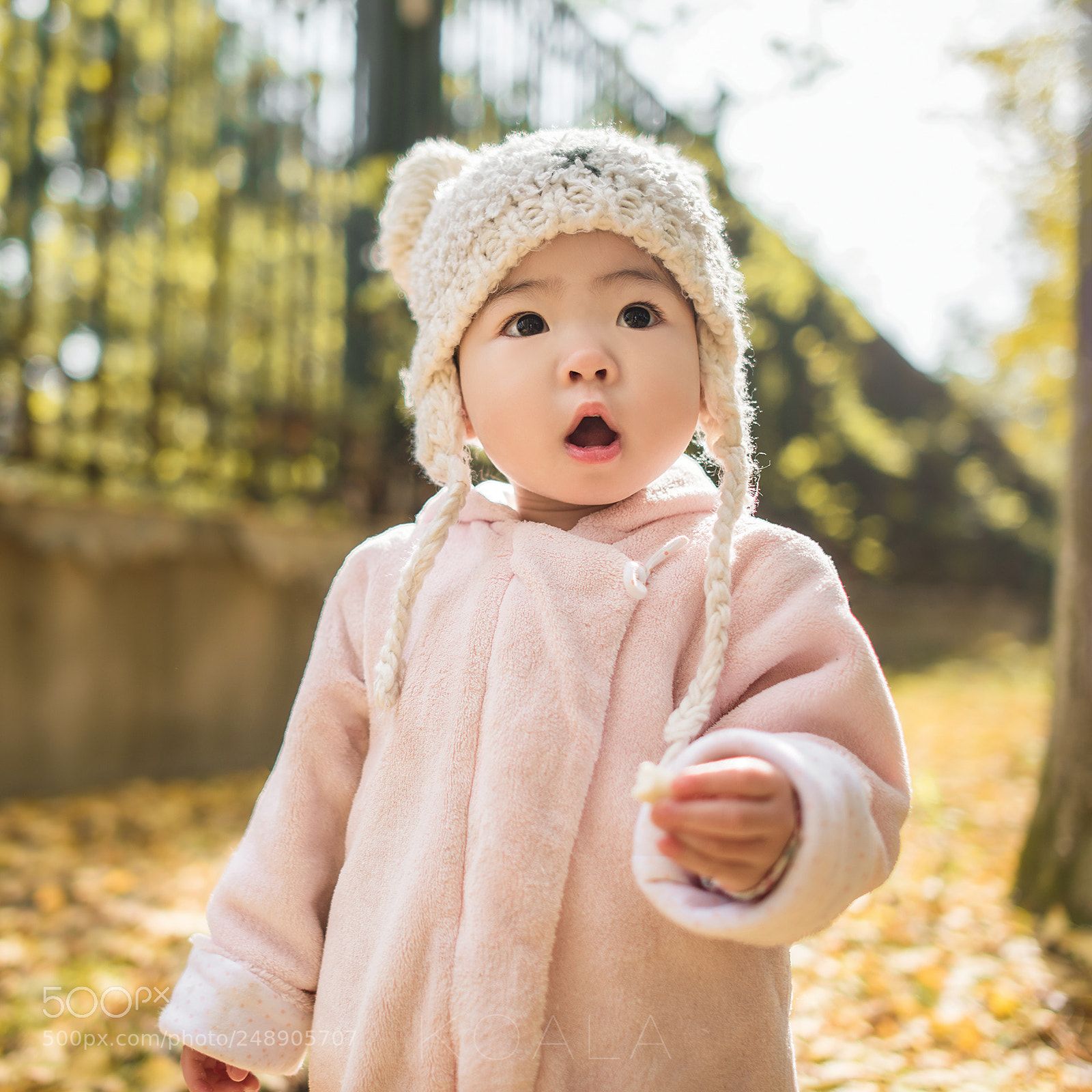 Nikon D810 sample photo. 小可爱 photography