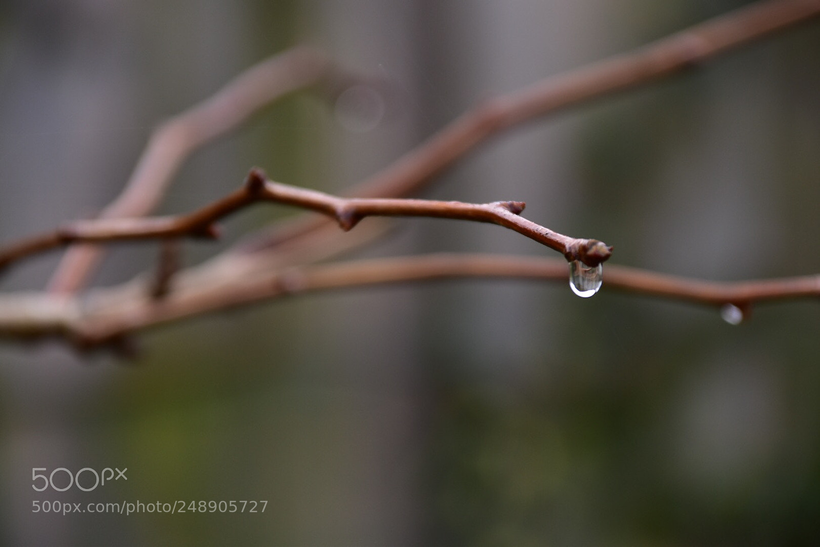 Nikon D5500 sample photo. Untitled photography