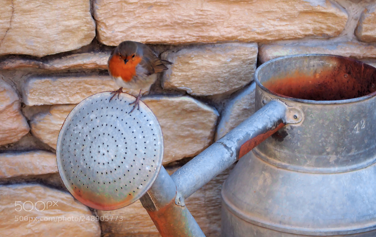 Olympus OM-D E-M5 II sample photo. The gardener... photography