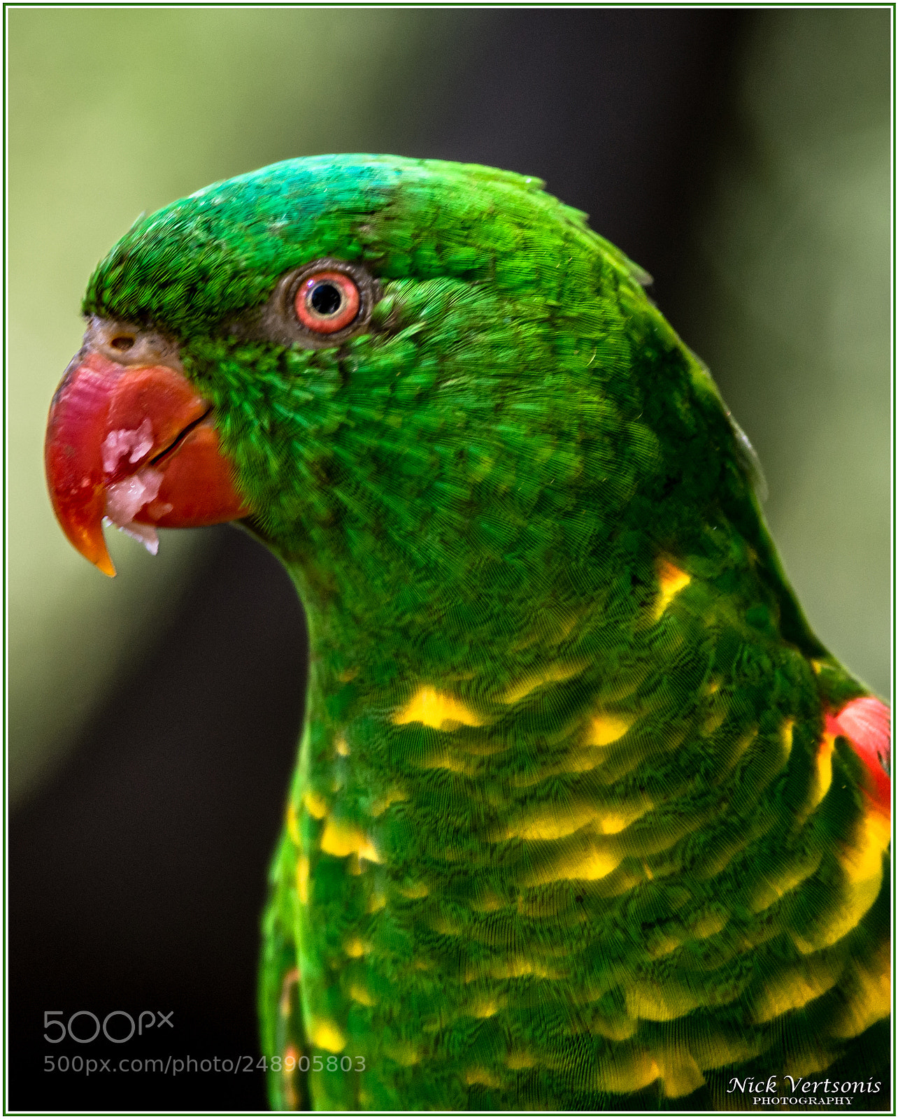 Nikon D7200 sample photo. That's close enough thanks!!! photography