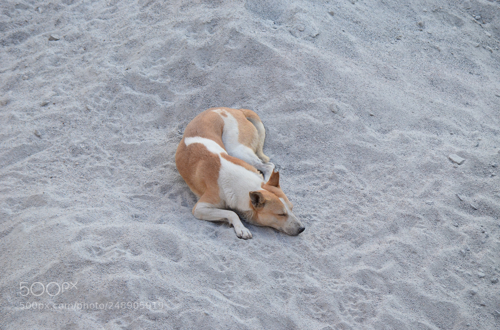 Nikon D5100 sample photo. Sunday mornings... photography