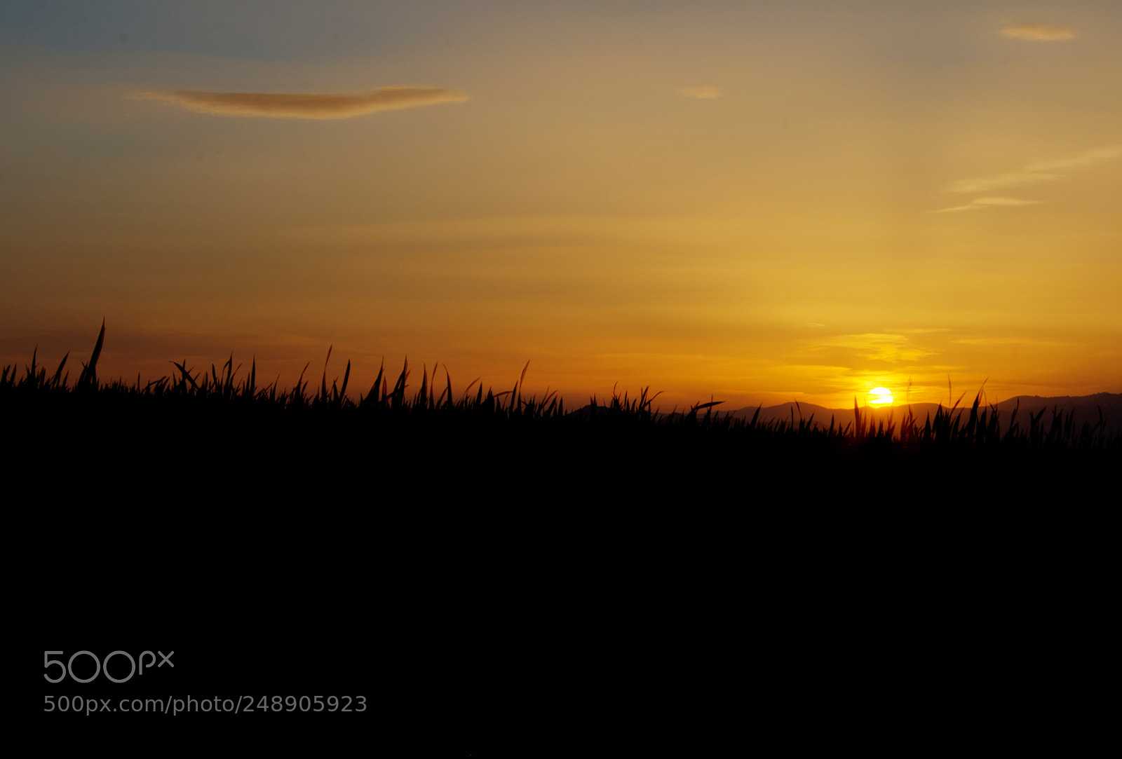 Canon EF-S 18-55mm F3.5-5.6 II sample photo. Sunset and silhoette photography