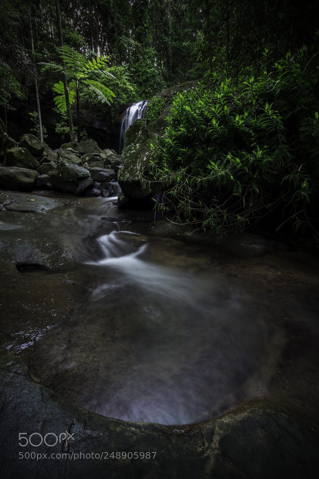 Nikon D500 sample photo. Pool of serenity photography