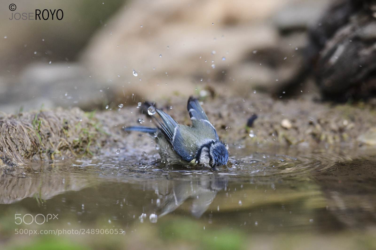 Nikon D850 sample photo. El baño photography