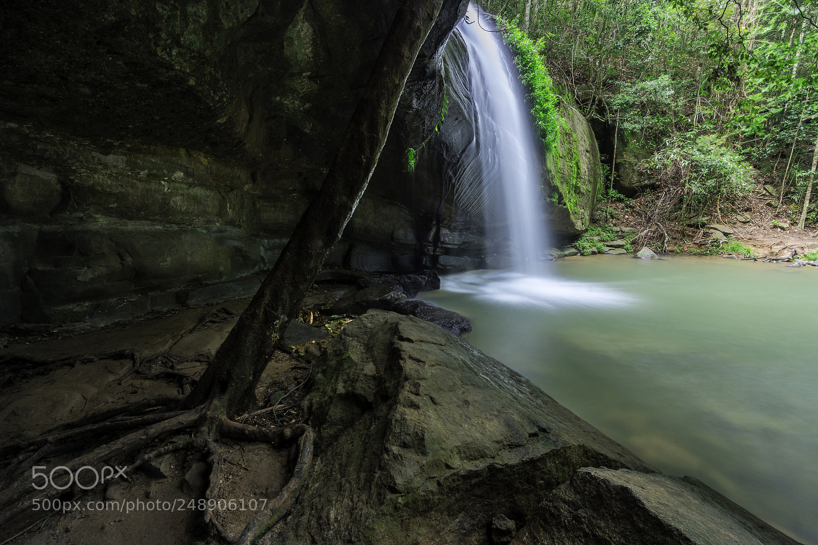 Nikon D500 sample photo. Serenity falls photography