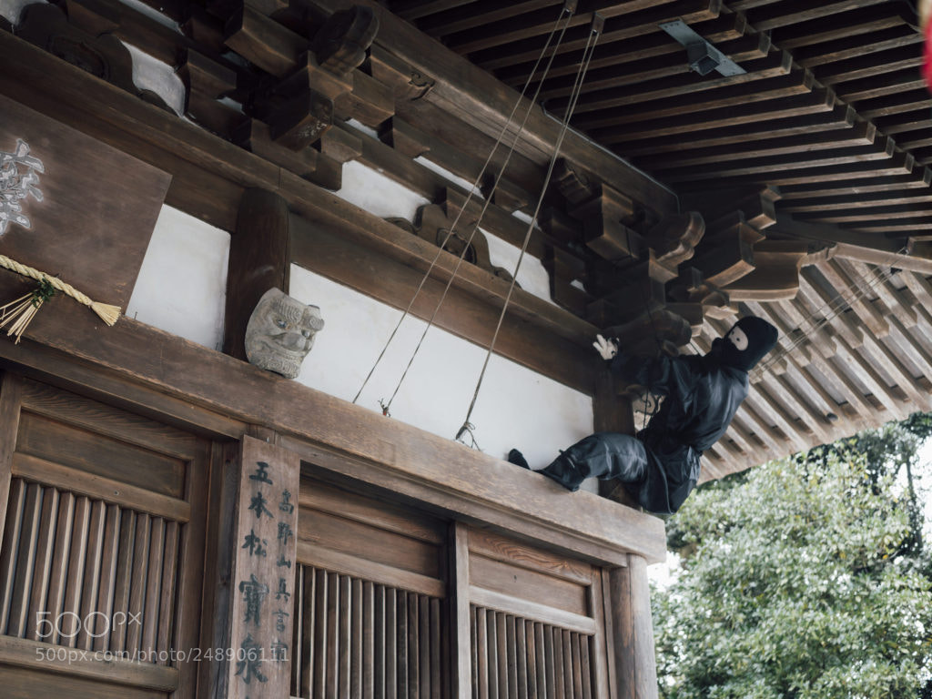 Olympus OM-D E-M1 Mark II sample photo. Ninja. photography