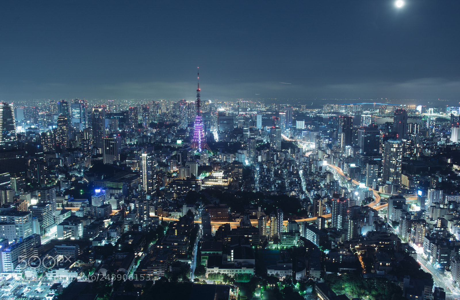 Nikon D800 sample photo. Tokyo at night photography