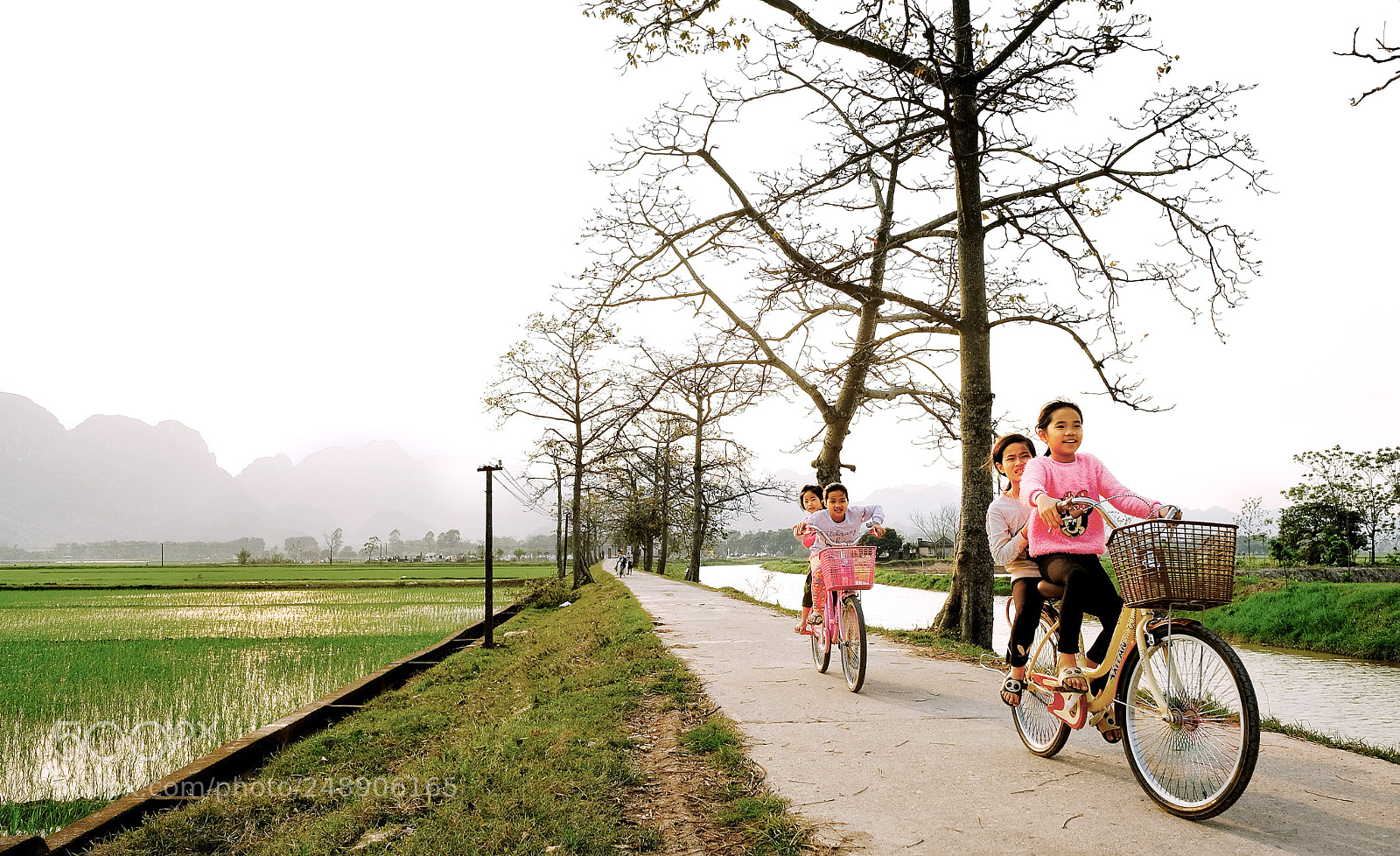 Fujifilm X-T20 sample photo. Untitled photography