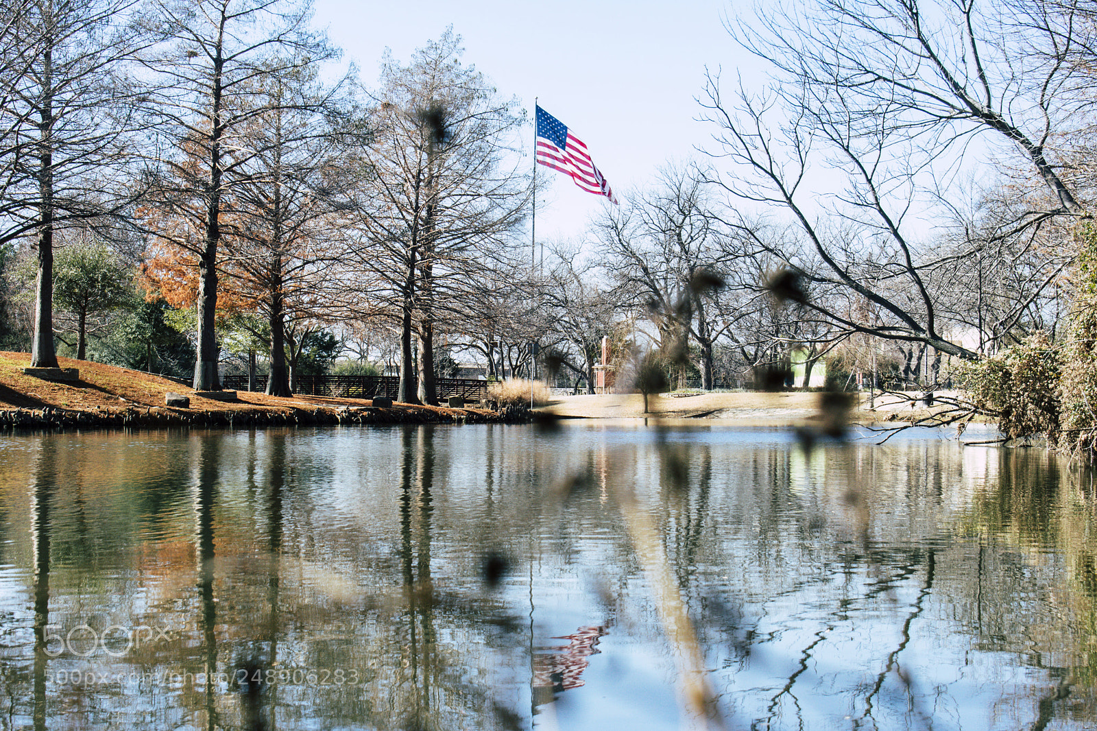 Nikon D3400 sample photo. Flag by the pond photography