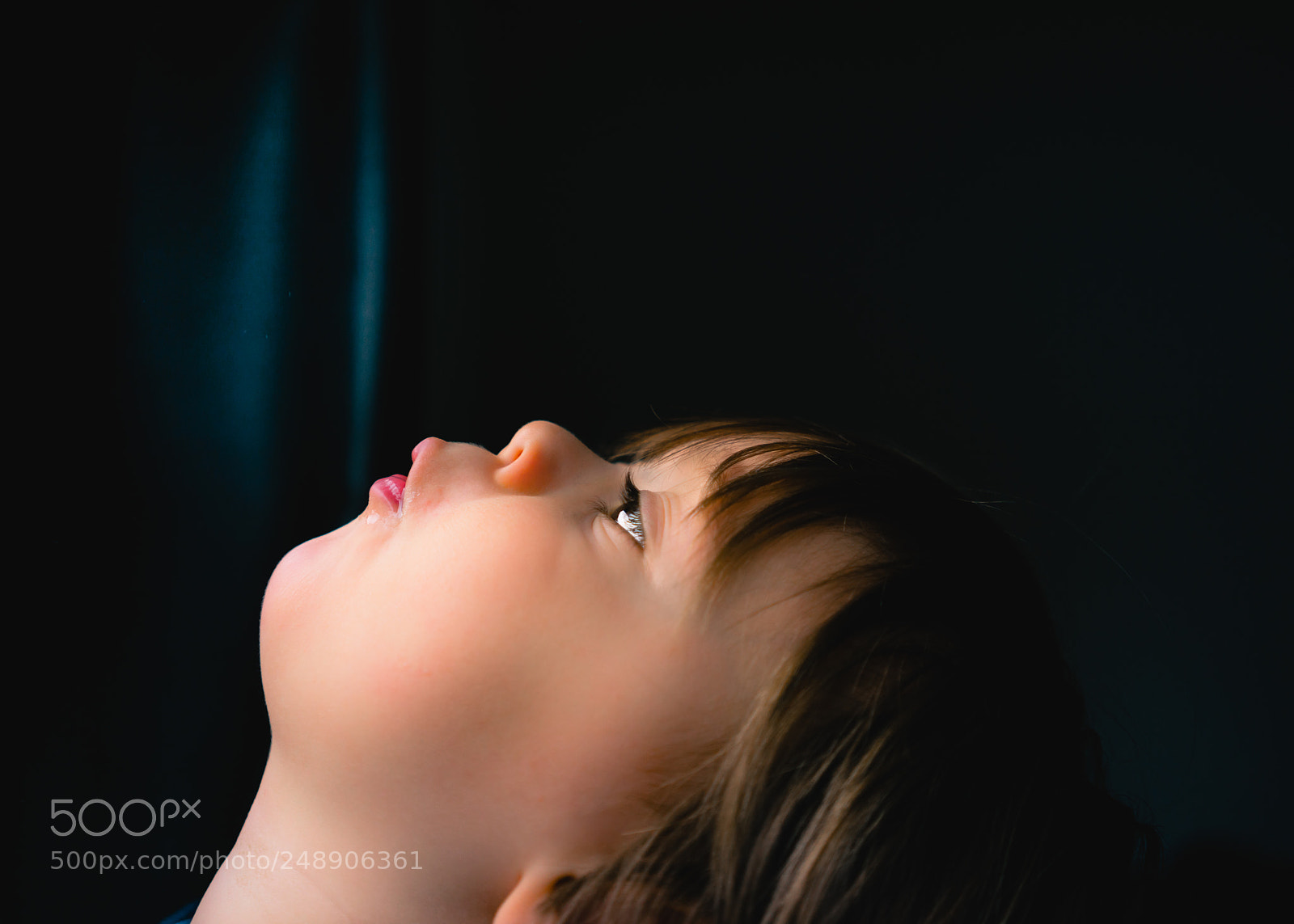 Sony a7R sample photo. Howling photography