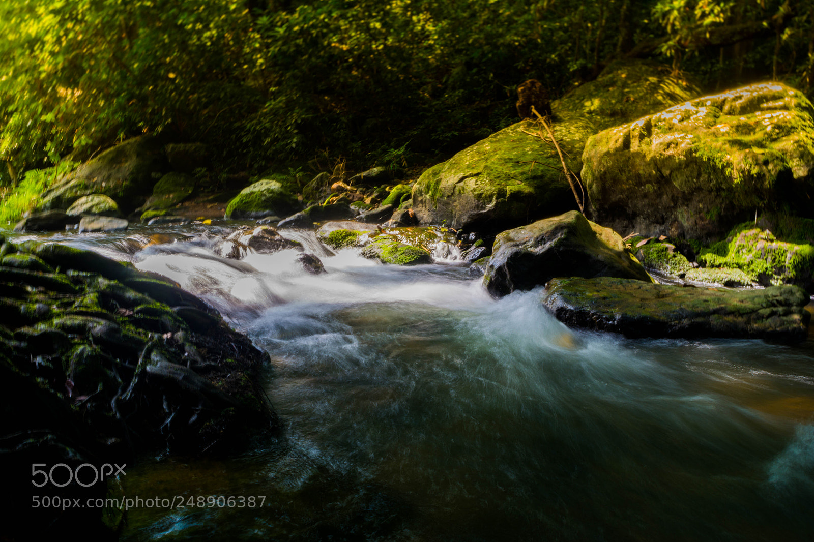 Nikon D5200 sample photo. Moody stream in a photography