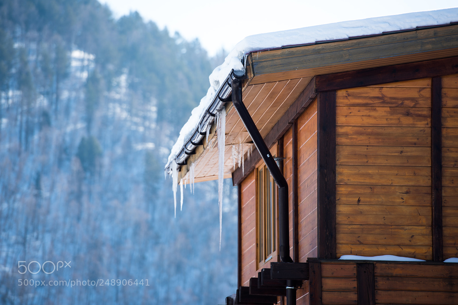 Nikon D610 sample photo. Ice photography