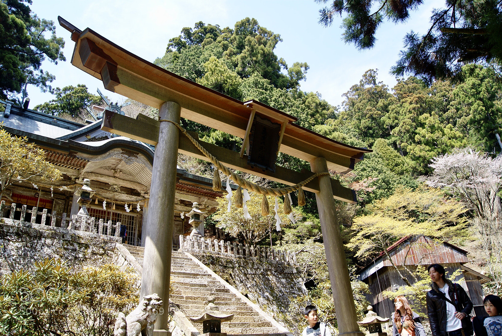 Sony Alpha DSLR-A330 sample photo. 玉置神社の鳥居と拝殿 photography