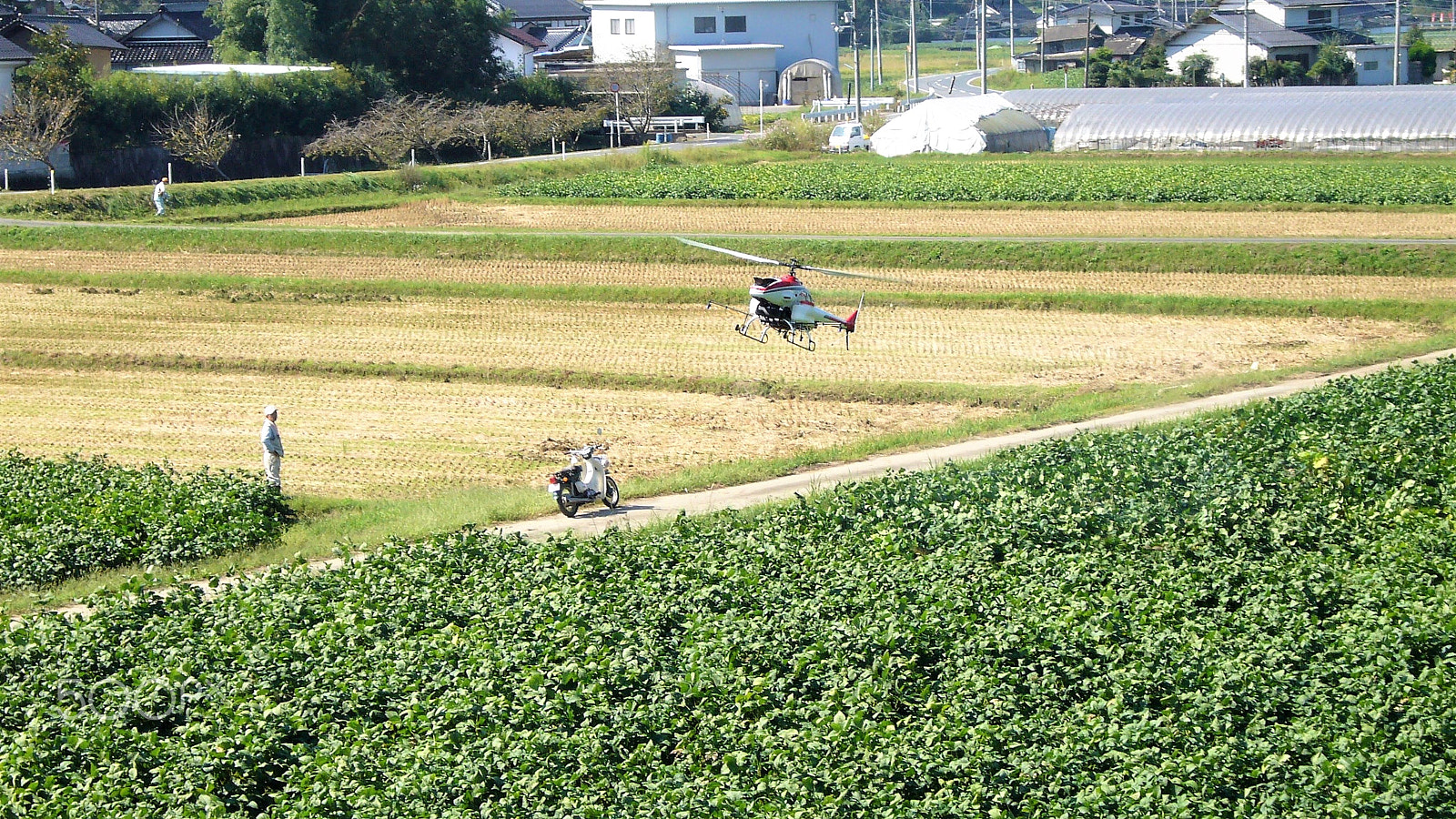Panasonic DMC-FX01 sample photo. Pesticide spraying unmanned helicopter photography
