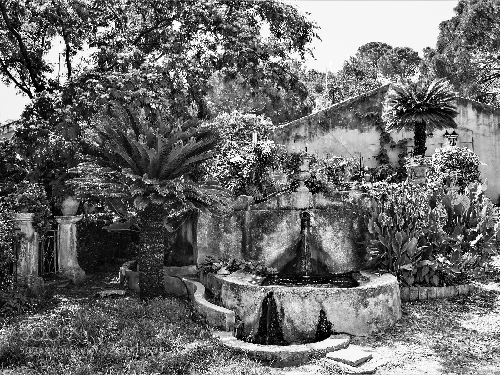Canon EOS 1000D (EOS Digital Rebel XS / EOS Kiss F) sample photo. Sicilia photography