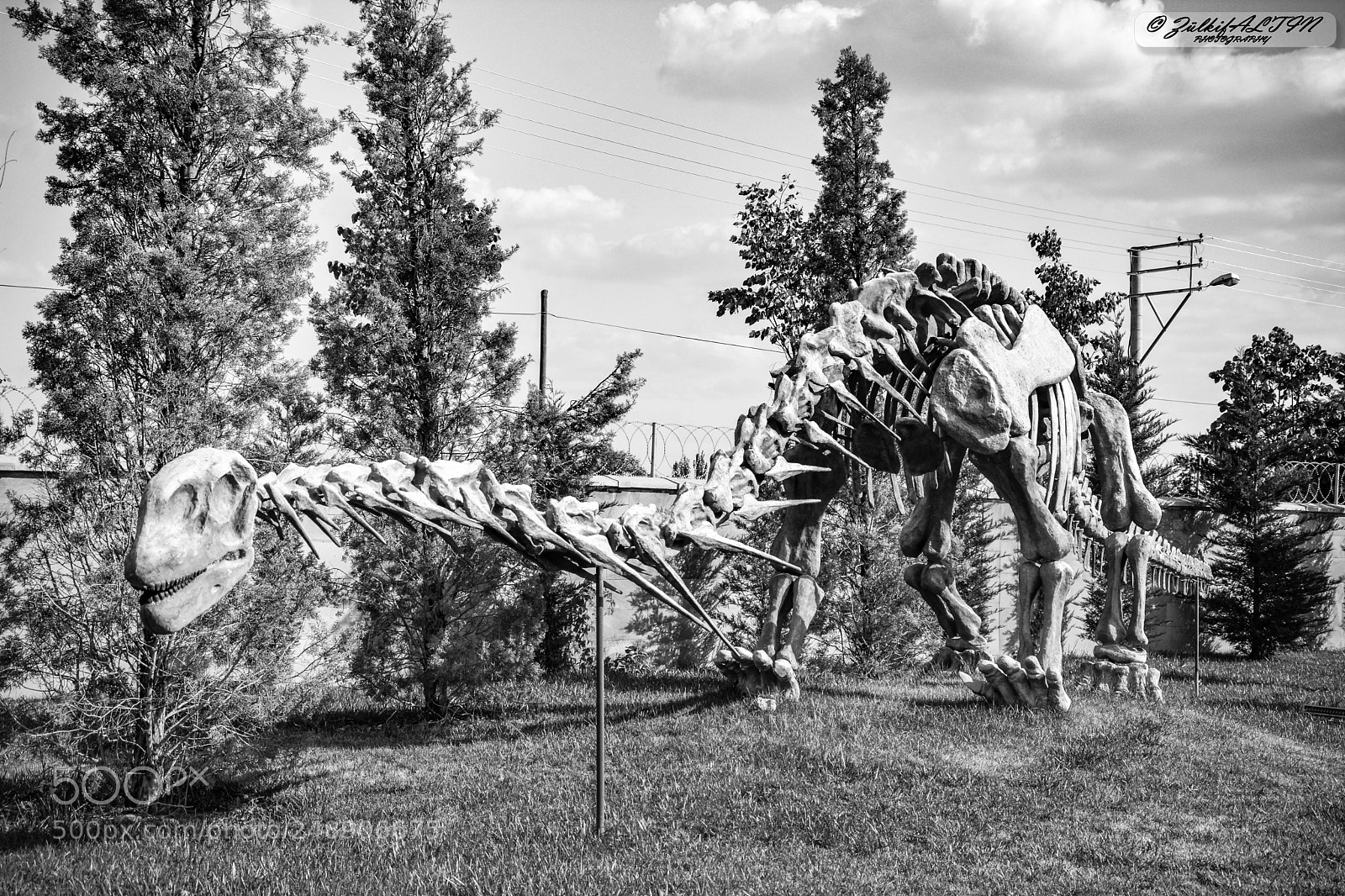 Nikon D7100 sample photo. Dinosaurs scene - konya photography