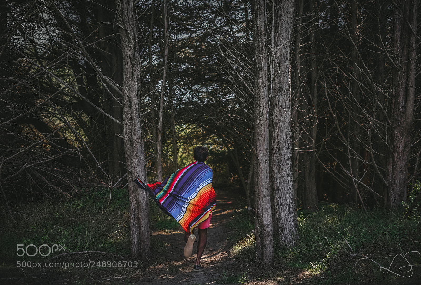 Sony a7 II sample photo. In to the woods photography
