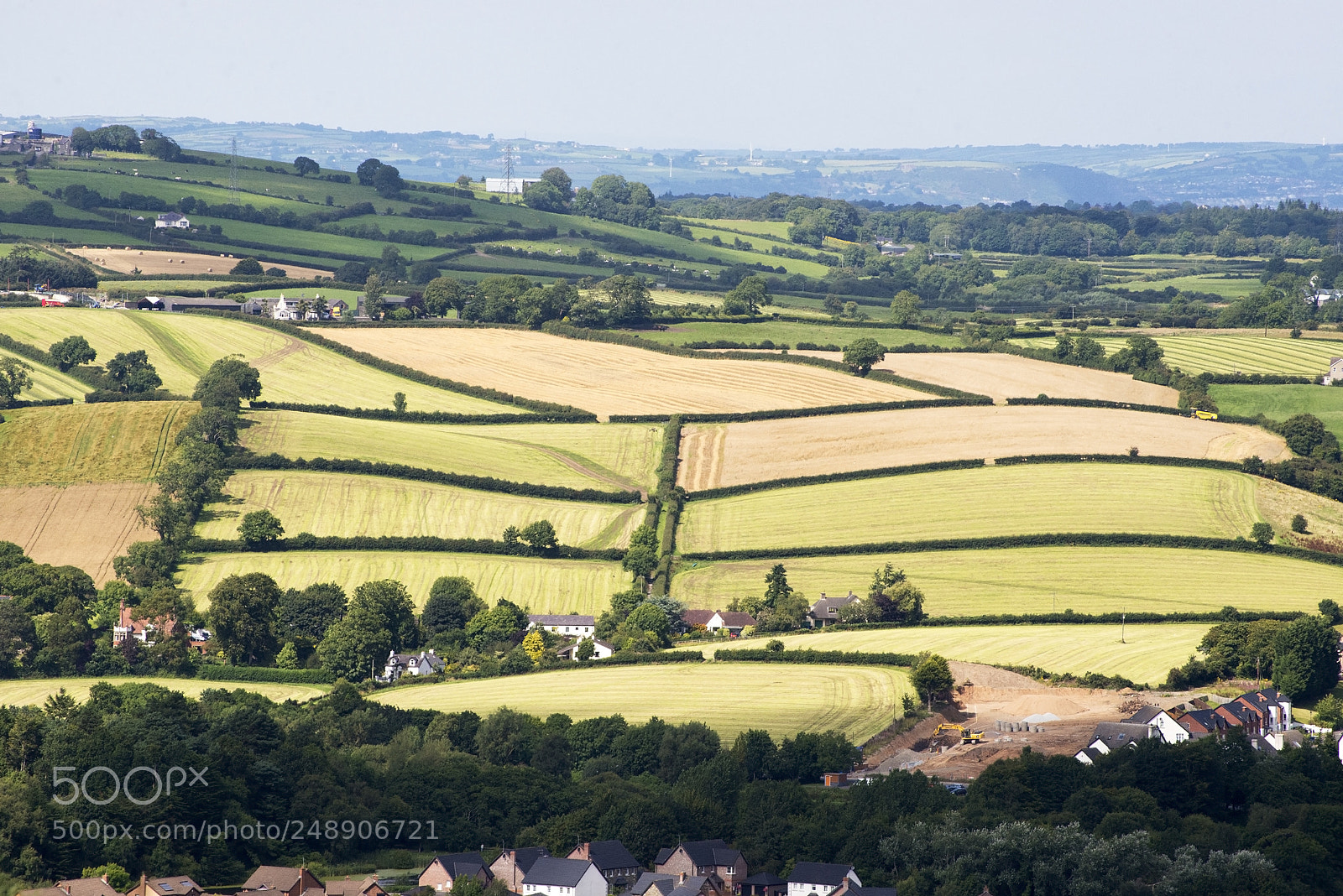 Nikon D600 sample photo. Summer fields (1) photography