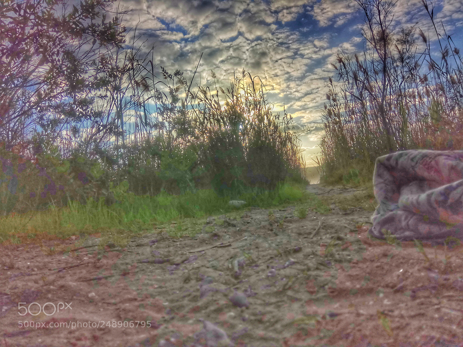 Xiaomi Redmi Note 4X sample photo. Untitled photography