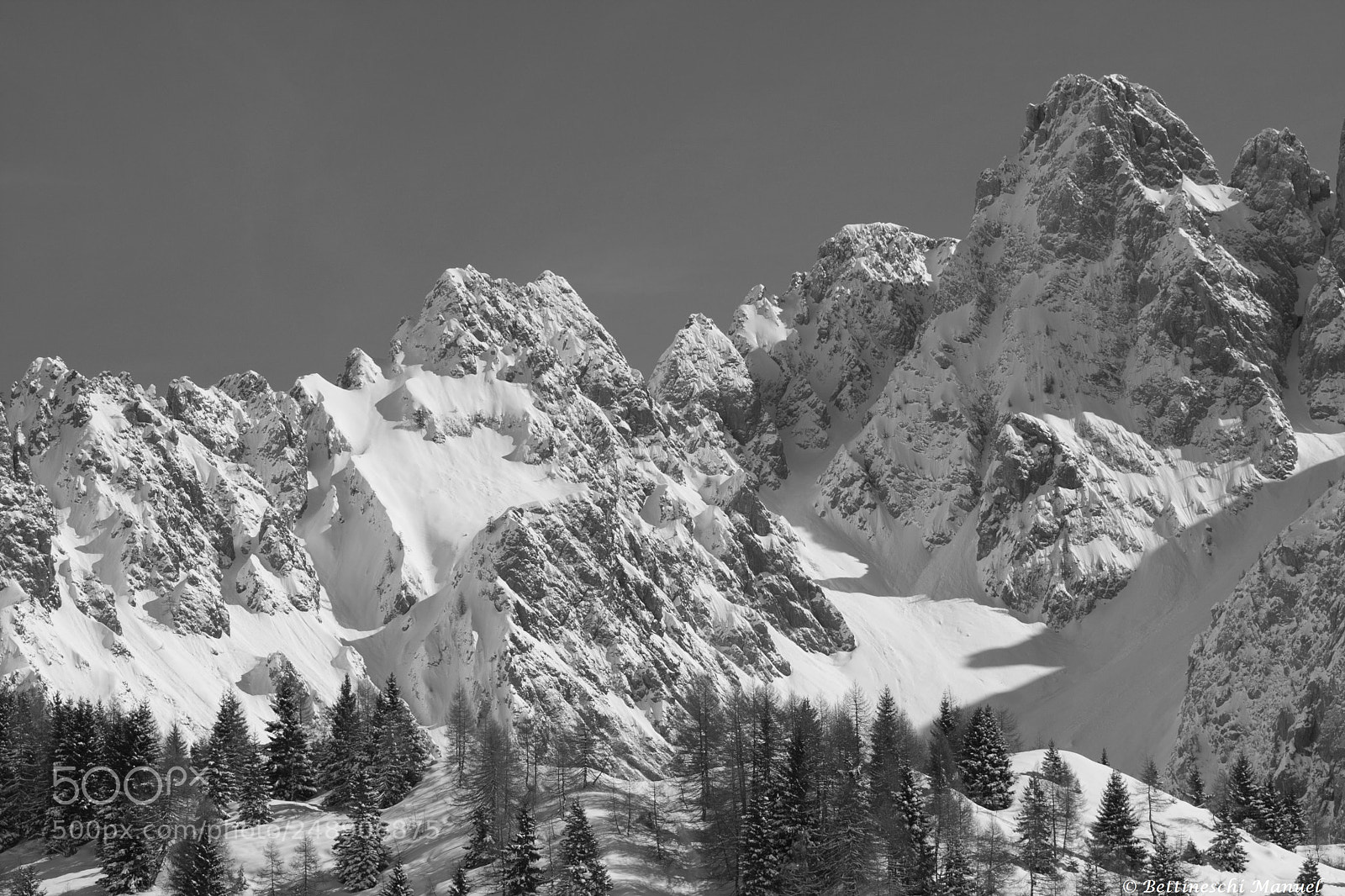 Canon EOS 40D sample photo. Nature in black and photography