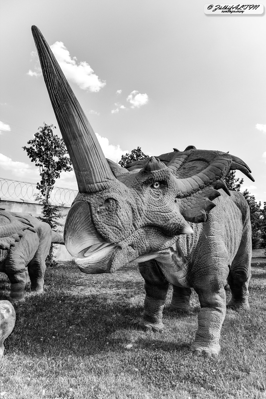 Nikon D7100 sample photo. Dinosaurs scene - konya photography
