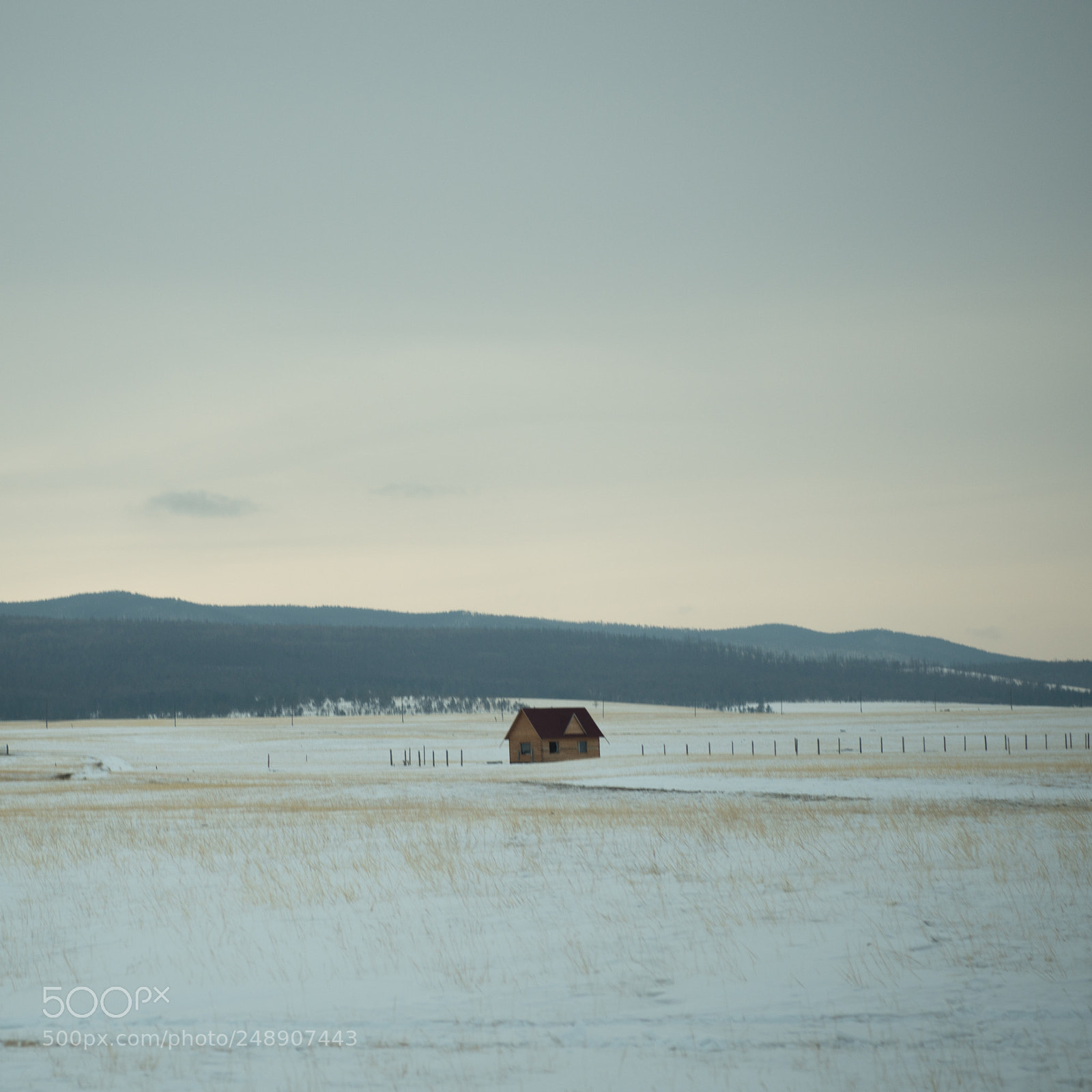 Nikon D610 sample photo. Country road, take me photography