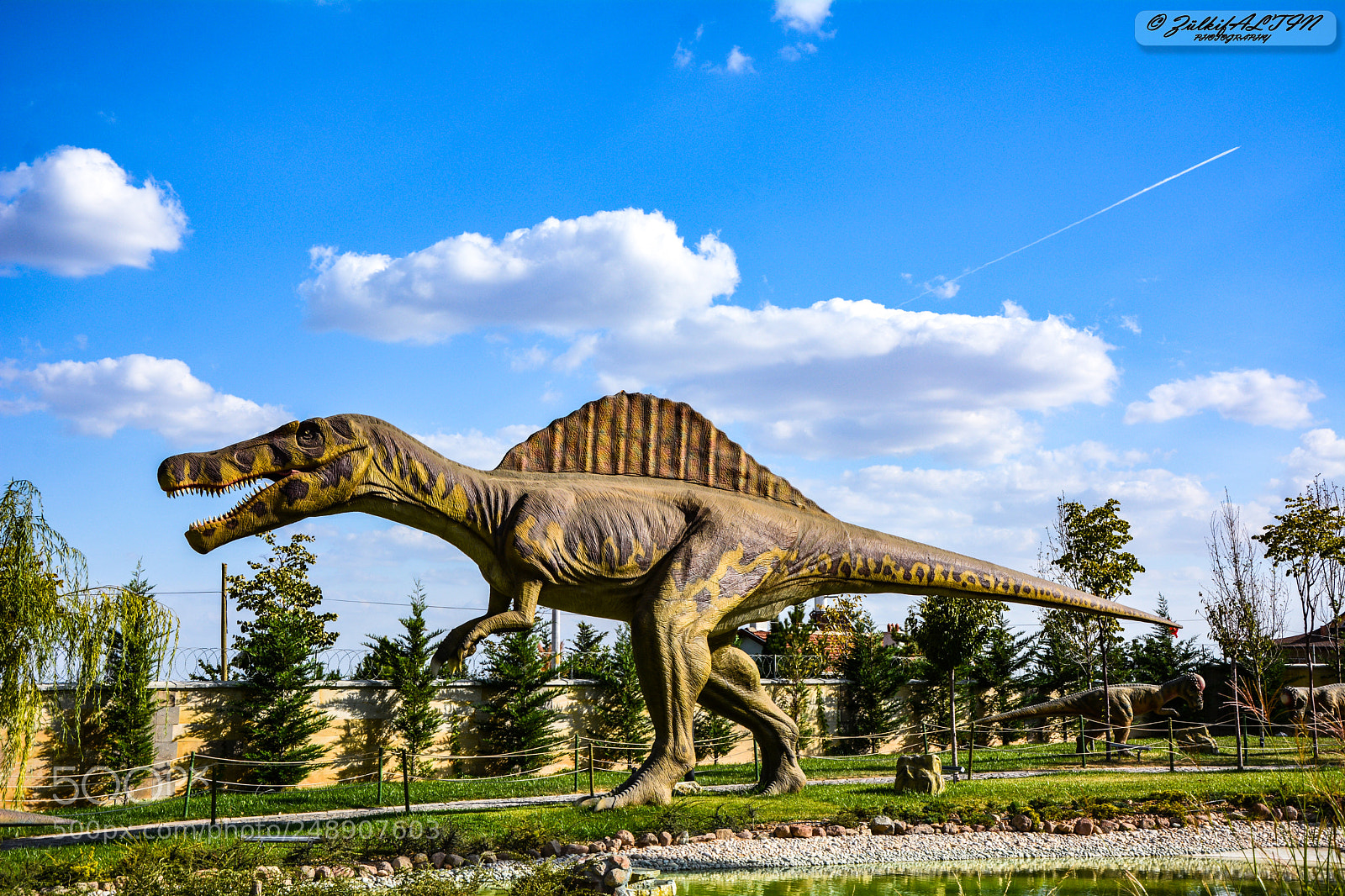 Nikon D7100 sample photo. Dinosaurs scene - konya photography