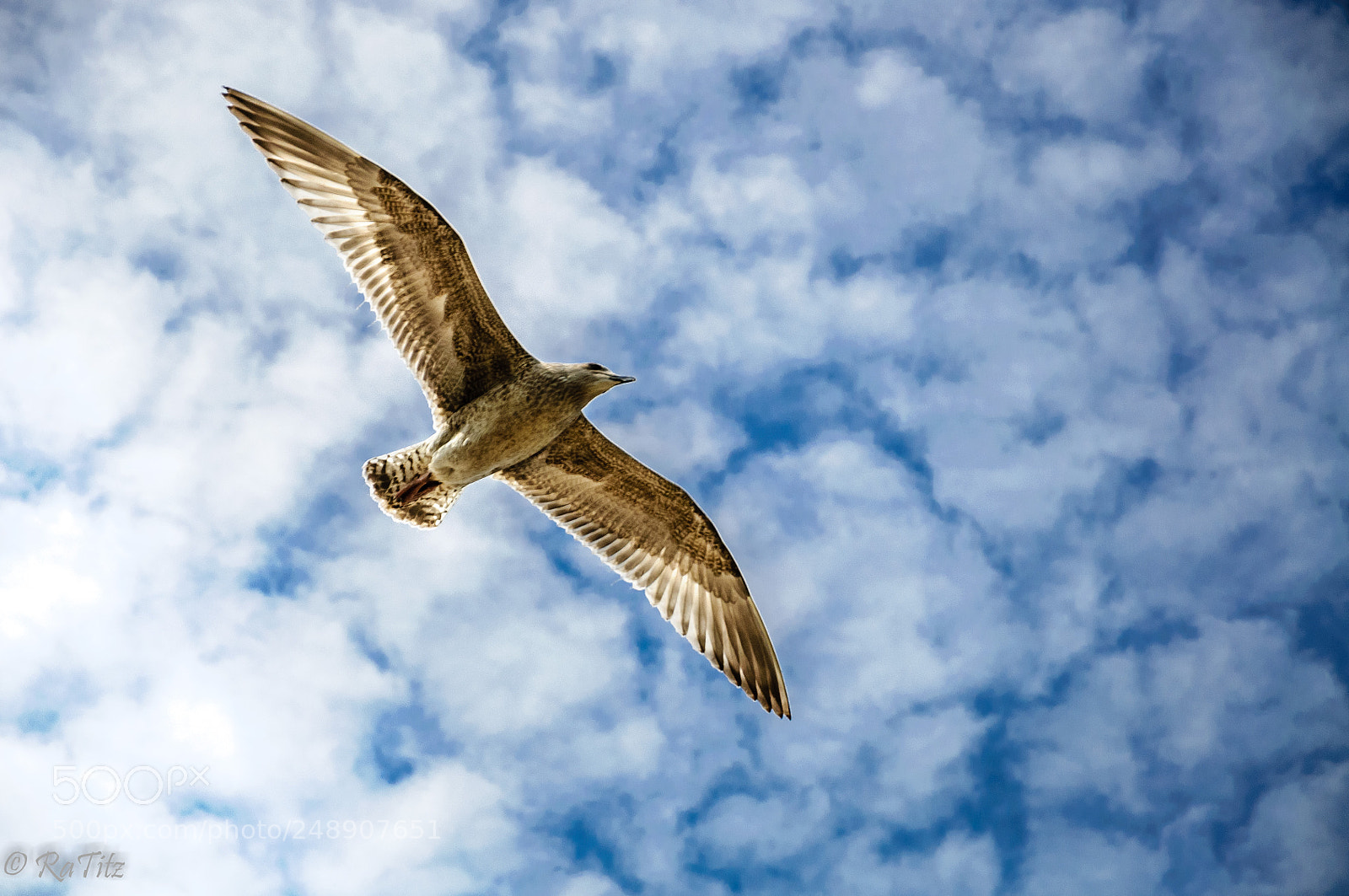 Nikon D90 sample photo. Up into the sky photography