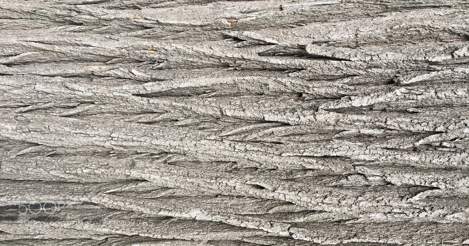Apple iPhone 6s sample photo. Natural old brown crust photography