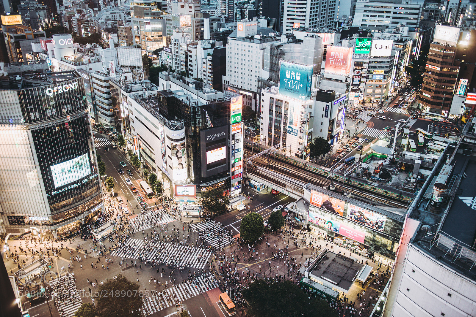 Nikon D800 sample photo. Hachiko crossing in tokyo photography