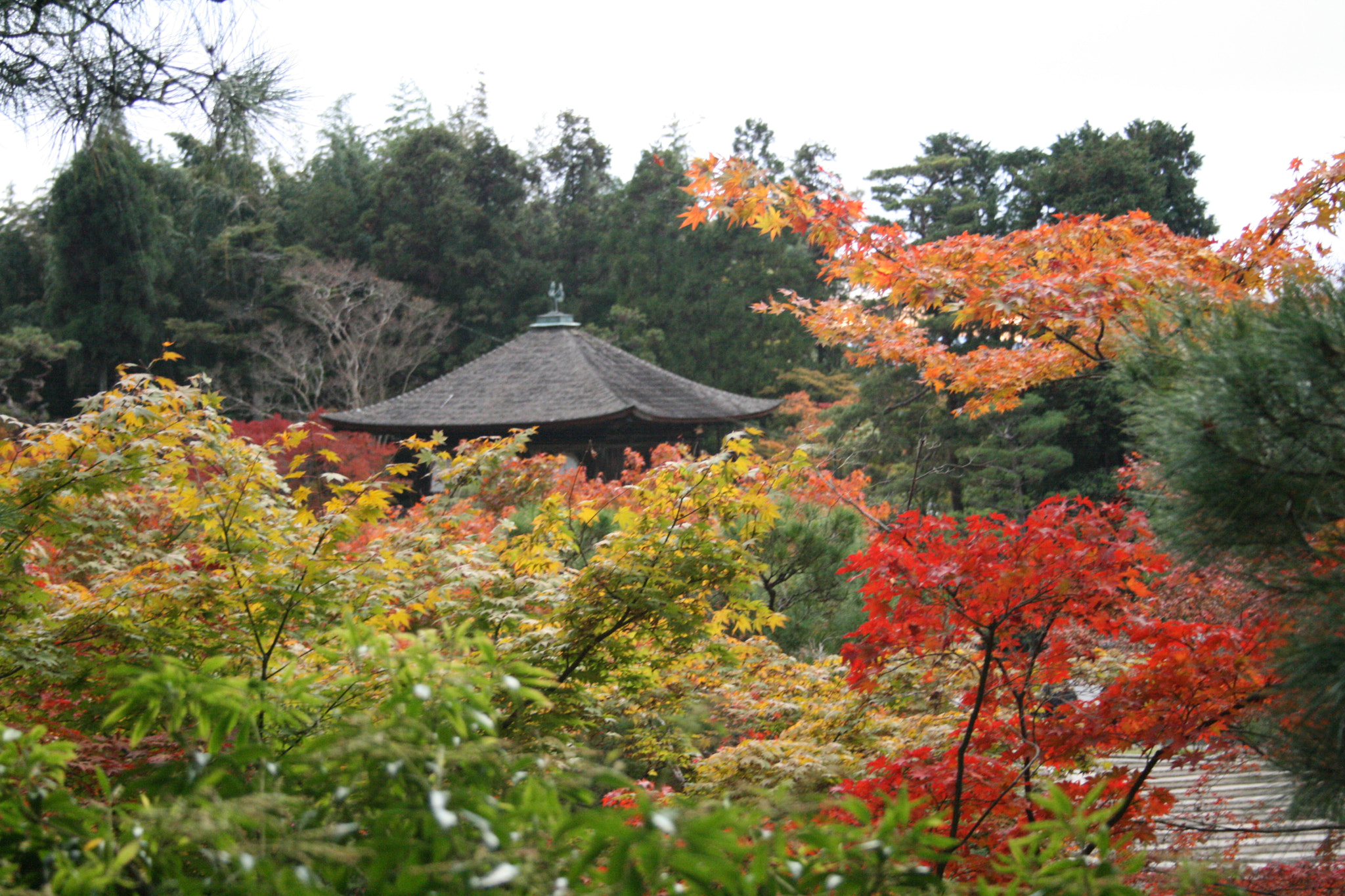 Canon EF-S 18-55mm f/3.5-5.6 USM sample photo. 京都と写真 photography