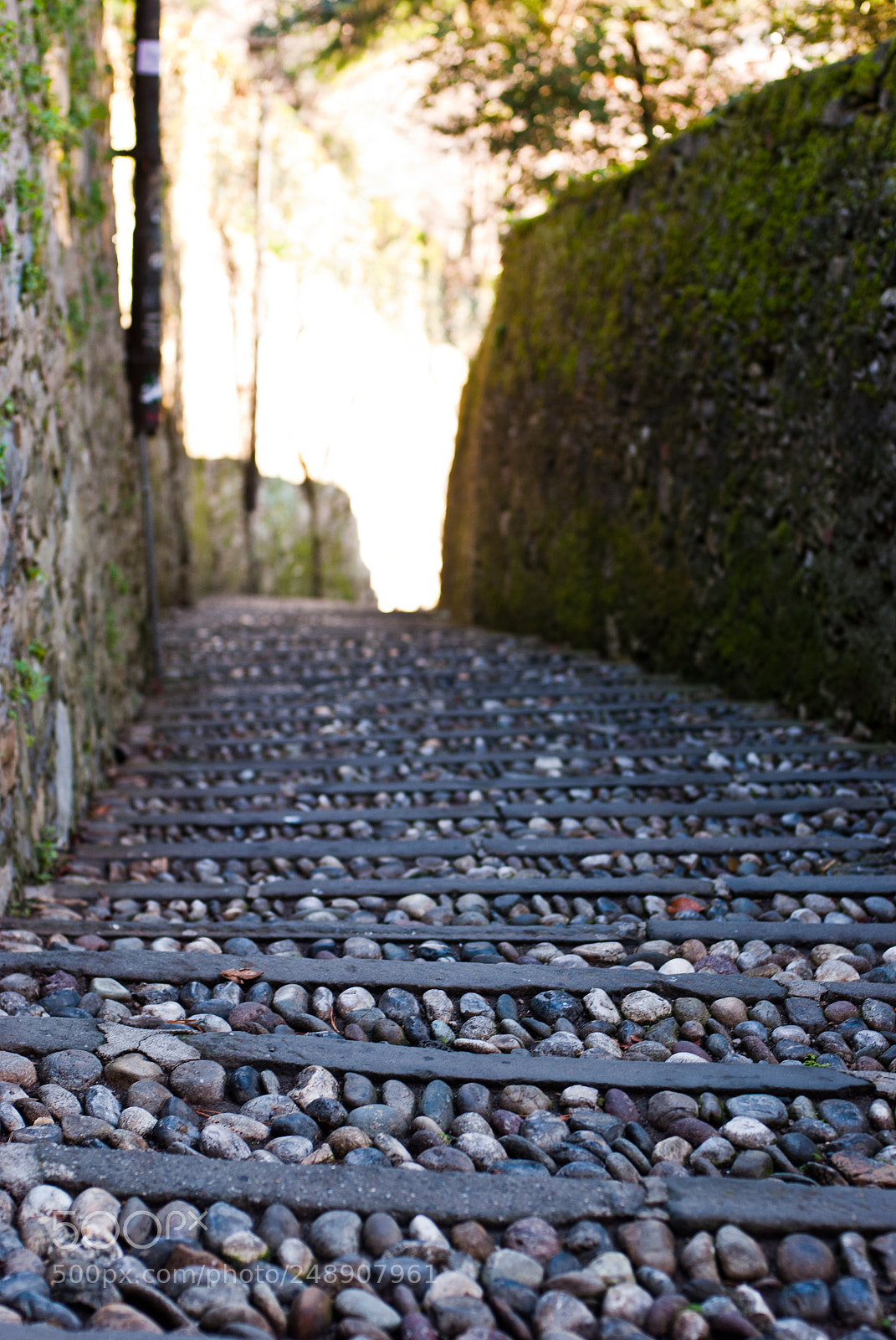 Nikon D60 sample photo. Medieval steps in bergamo photography