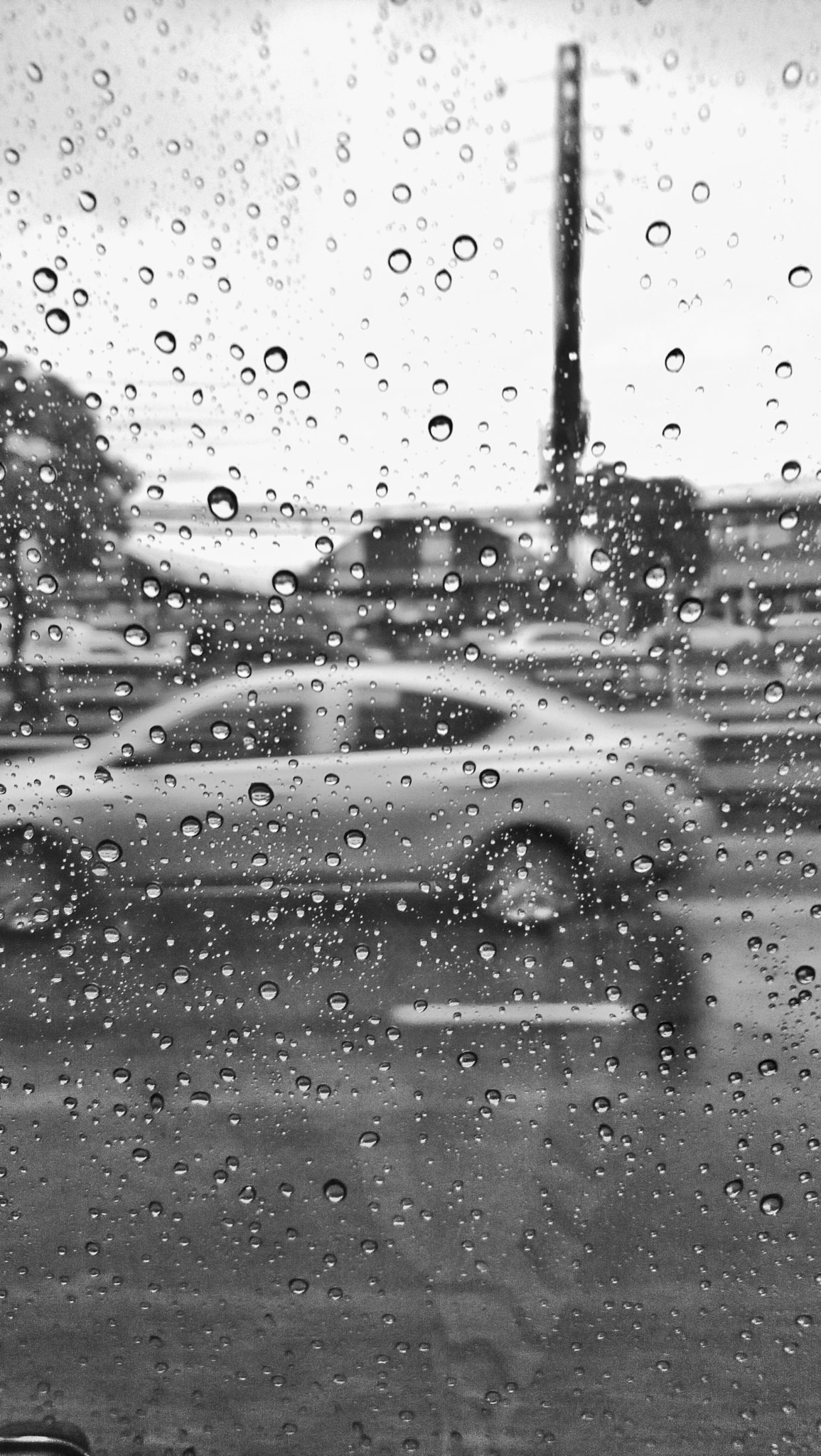 Sony Xperia XA1 Ultra sample photo. Rain seems to say goodbye to me photography