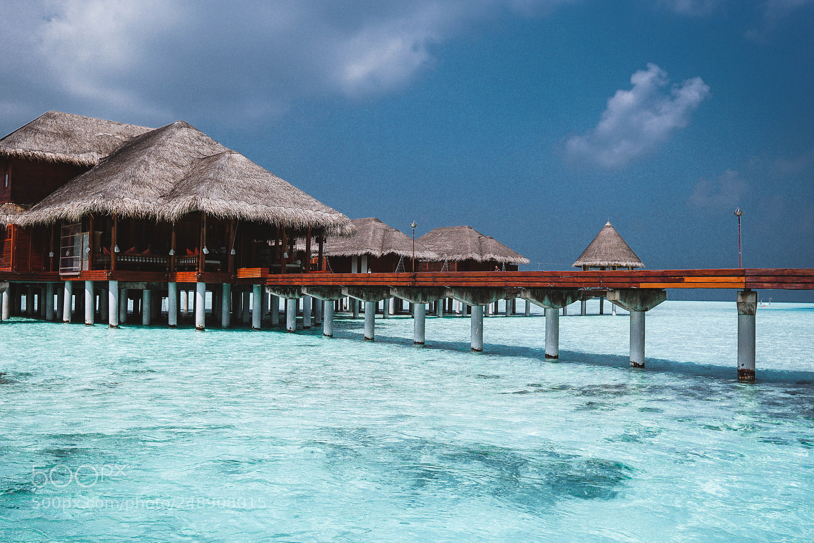 Sony a6000 sample photo. Hues of paradise photography