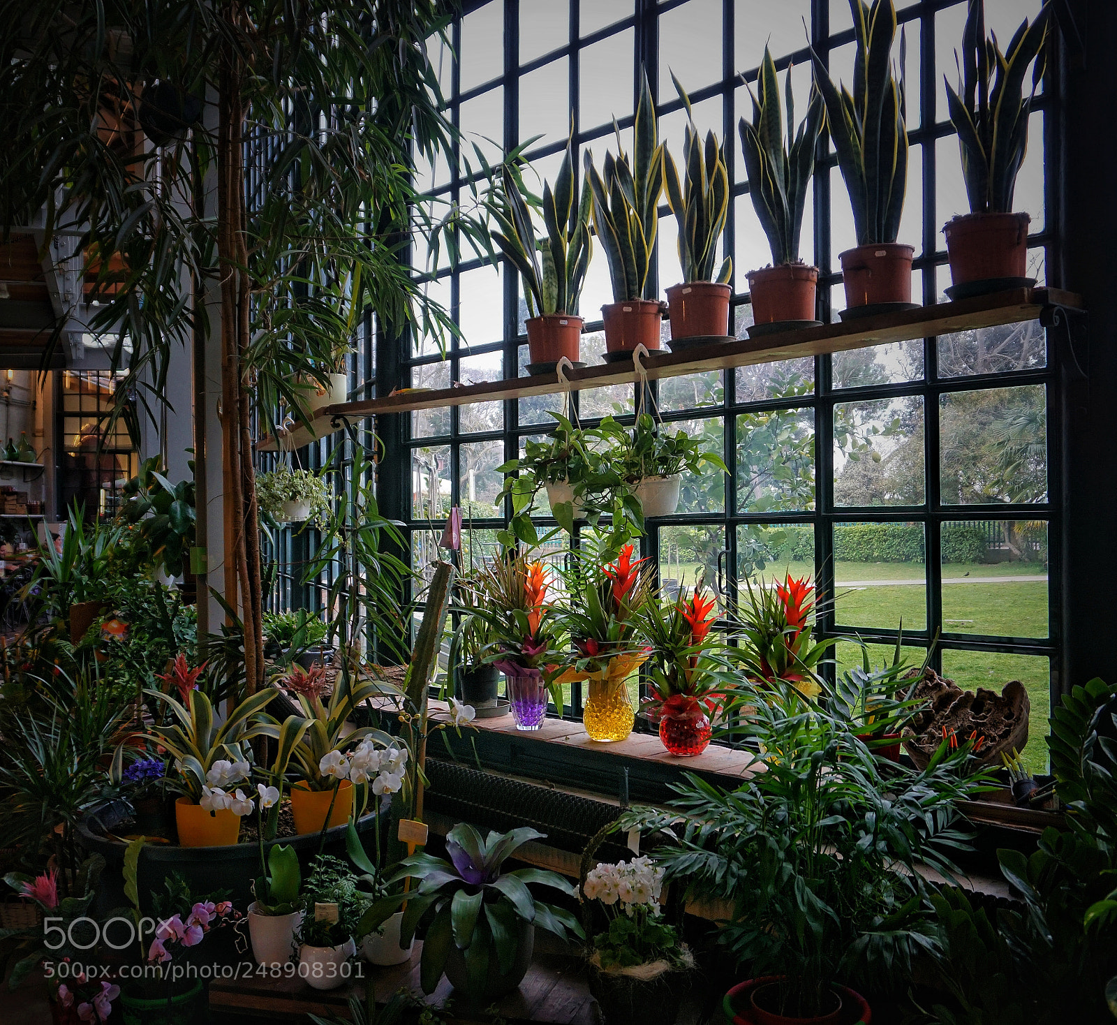 Sony a6000 sample photo. Untitled photography