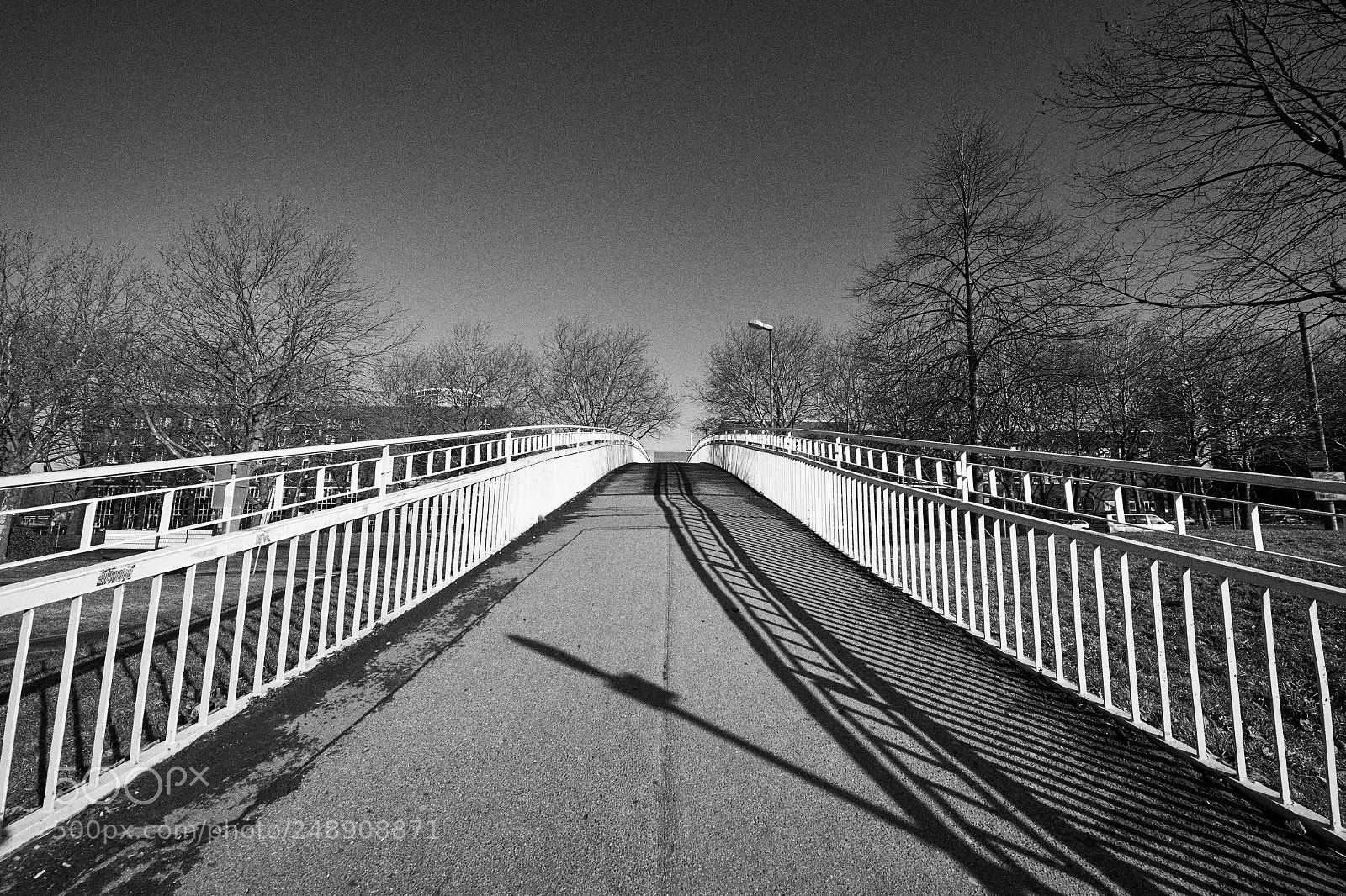 Nikon D850 sample photo. Pedestrian bridge b&w photography