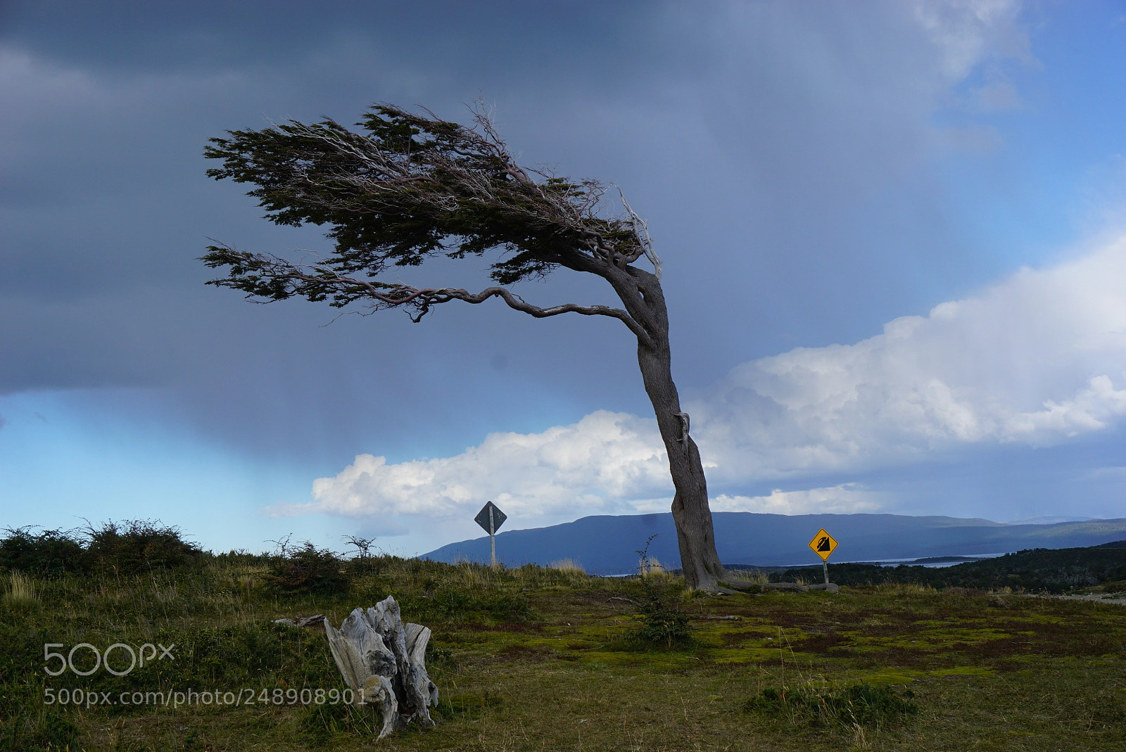 Sony a6000 sample photo. Canal beagle, tierra del photography