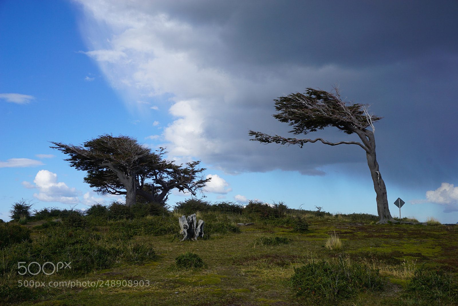 Sony a6000 sample photo. Canal beagle, tierra del photography