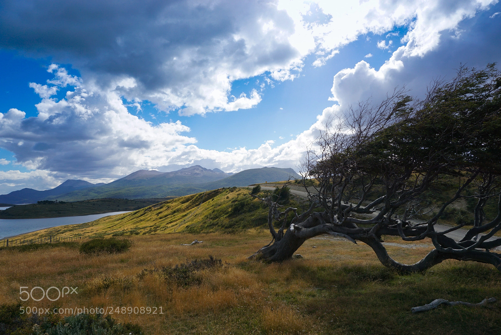 Sony a6000 sample photo. Canal beagle, tierra del photography