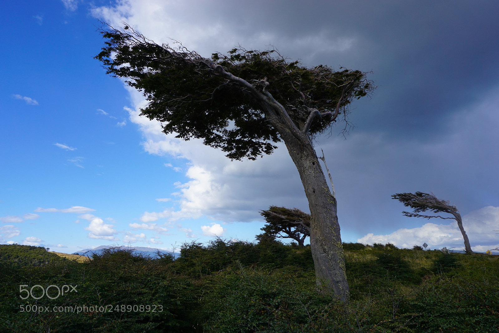 Sony a6000 sample photo. Canal beagle, tierra del photography