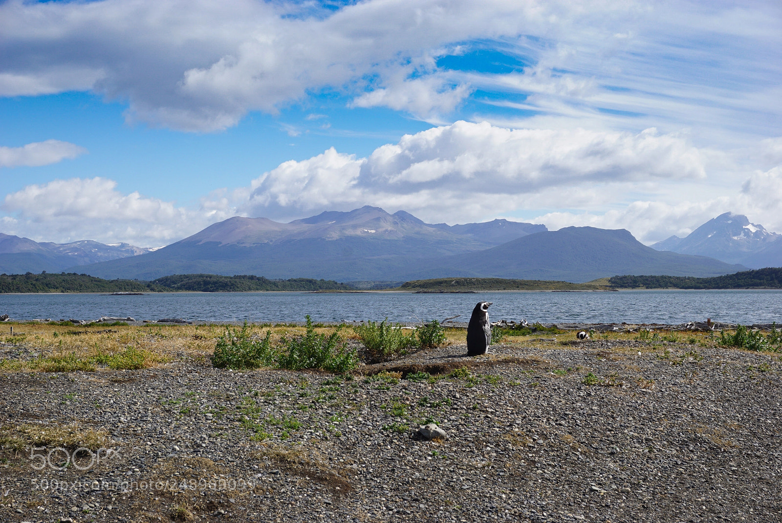 Sony a6000 sample photo. Canal beagle, tierra del photography