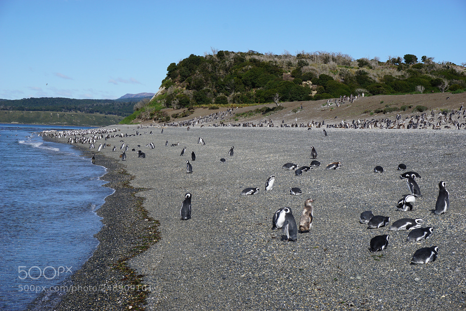 Sony a6000 sample photo. Canal beagle, tierra del photography
