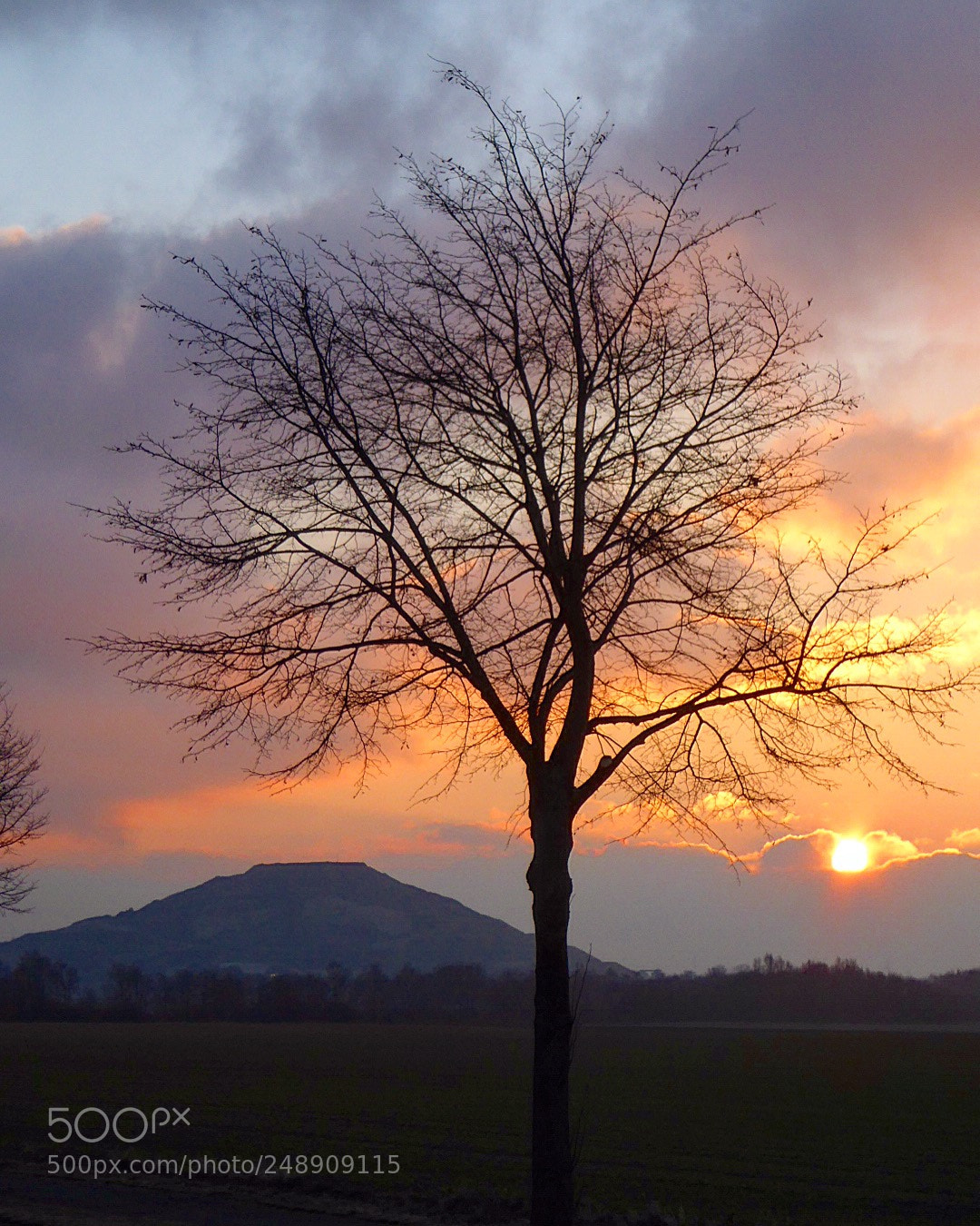 Panasonic DMC-TZ61 sample photo. Sunrise happiness photography