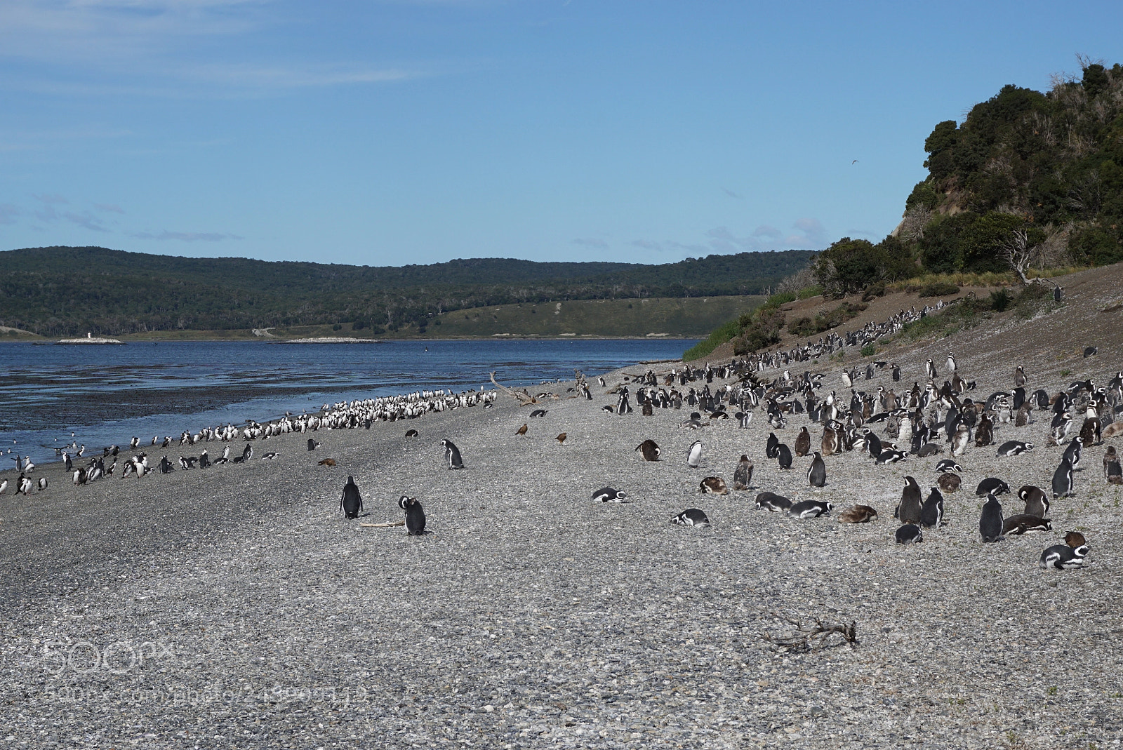 Sony a6000 sample photo. Canal beagle, tierra del photography