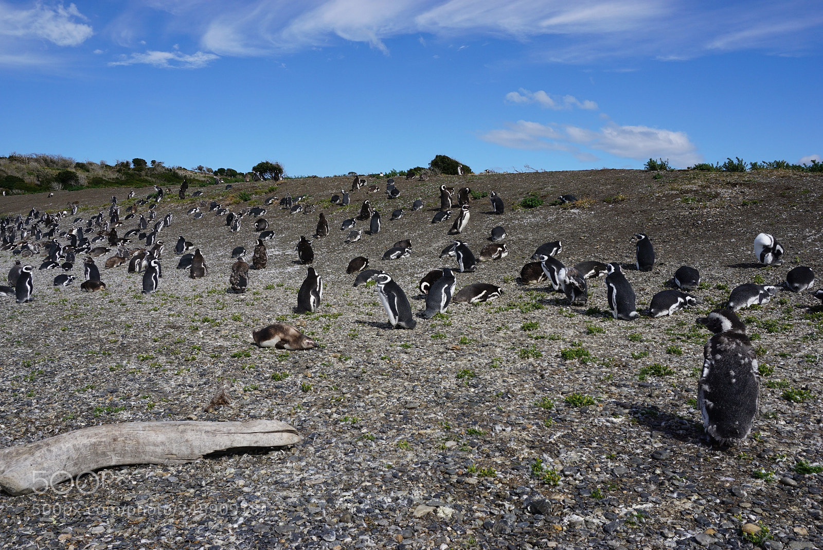 Sony a6000 sample photo. Canal beagle, tierra del photography