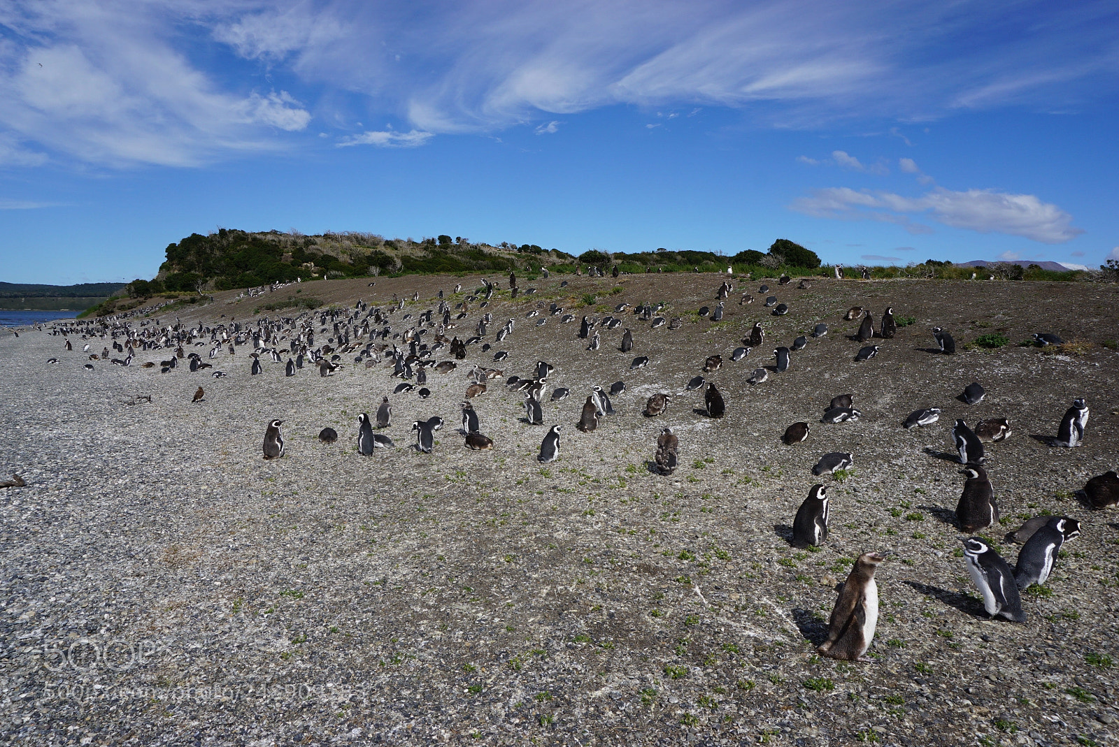 Sony a6000 sample photo. Canal beagle, tierra del photography