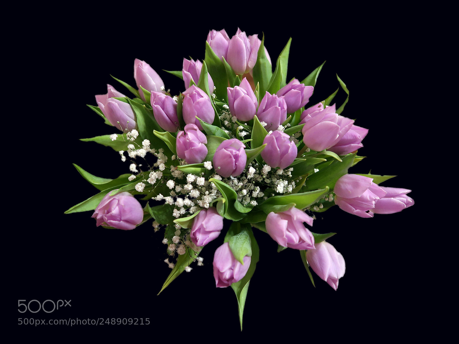 Canon PowerShot G7 X Mark II sample photo. Tulips photography