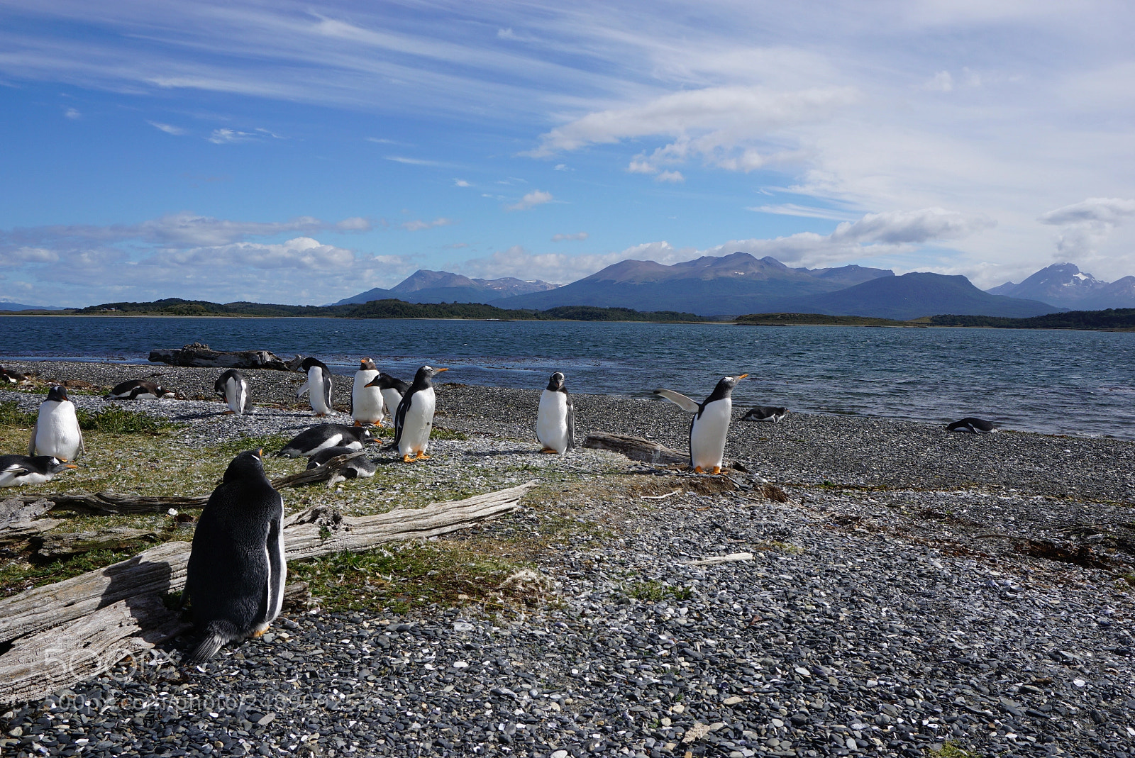 Sony a6000 sample photo. Canal beagle, tierra del photography
