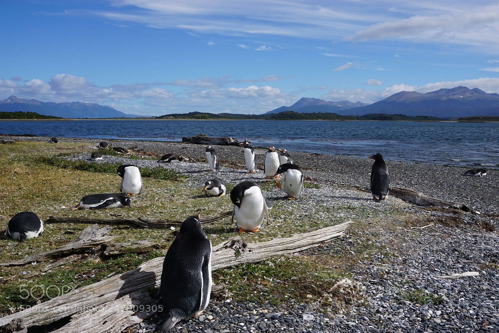 Sony a6000 sample photo. Canal beagle, tierra del photography